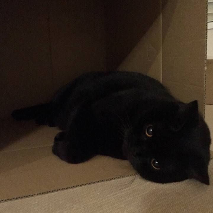 4502f483 da83 46bd 85d8 19a7250ba638 1540908353181