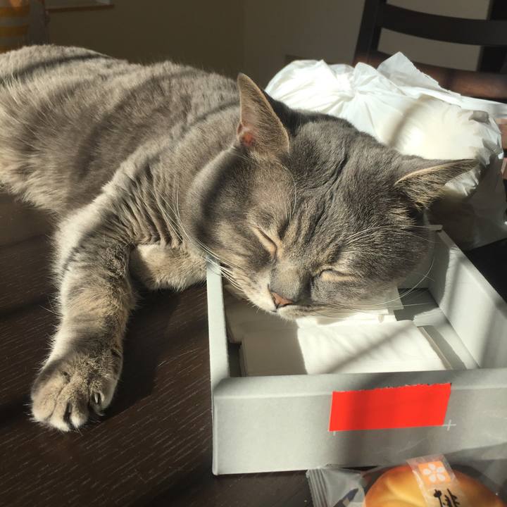 45031898 a7e2 41df b648 a8ff126dbc9e 1521589073280