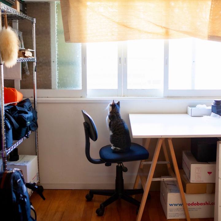 45032809 3941 4f96 9554 f6bf1fa57a75 1605959771711