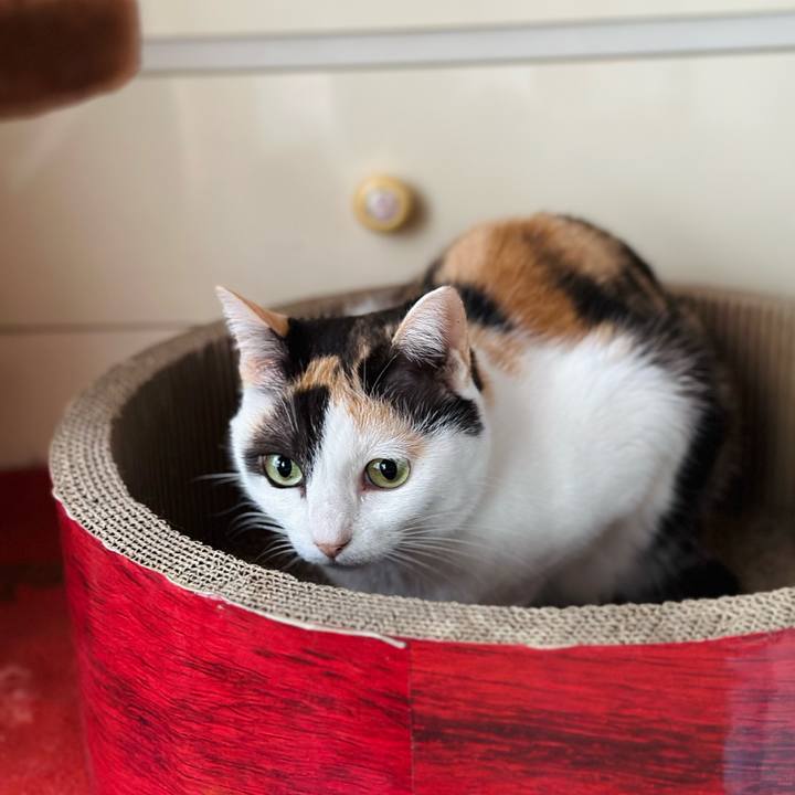 450333e2 e27f 4937 b2e9 743b9ee1623d 1697159817845