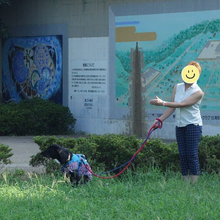 45033436 4c07 4bd2 baa0 f7dc9c3ba7a0 1630282192368