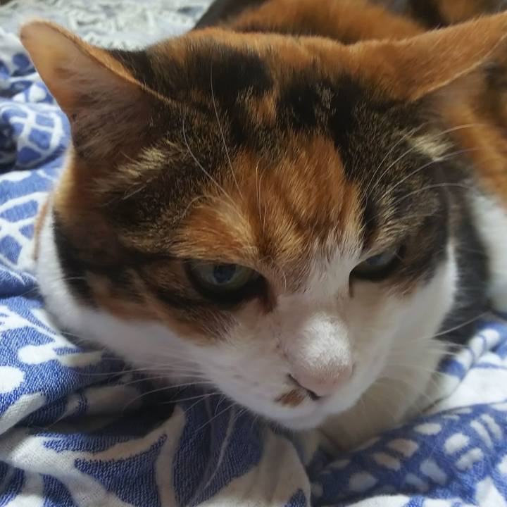 45033b80 d9fb 443d bf23 7765644c41ed 1566701133913