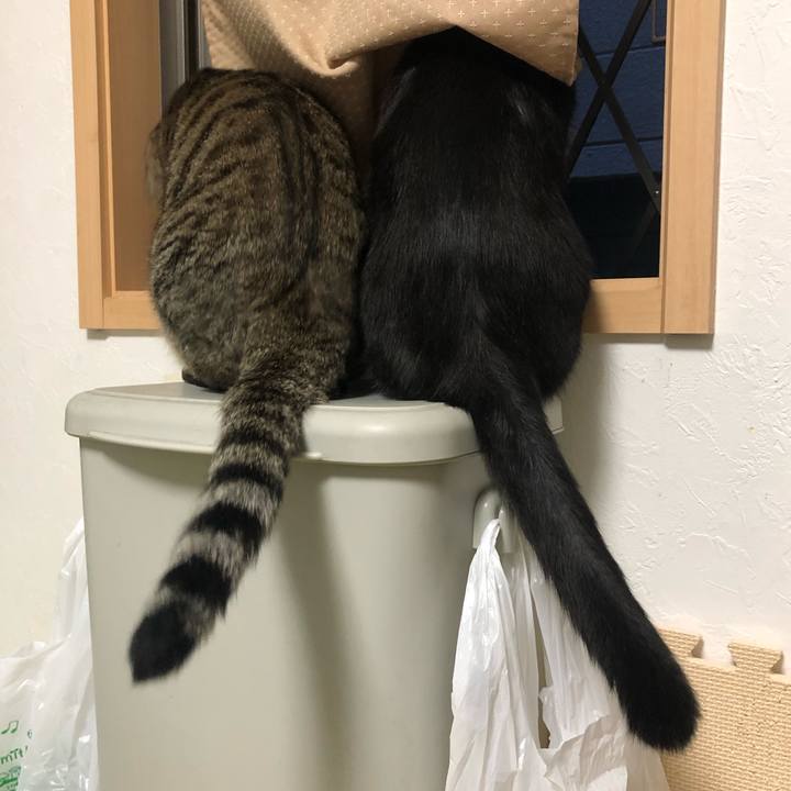 4503448c 8903 42d9 885a af2ce49695a9 1563480188925