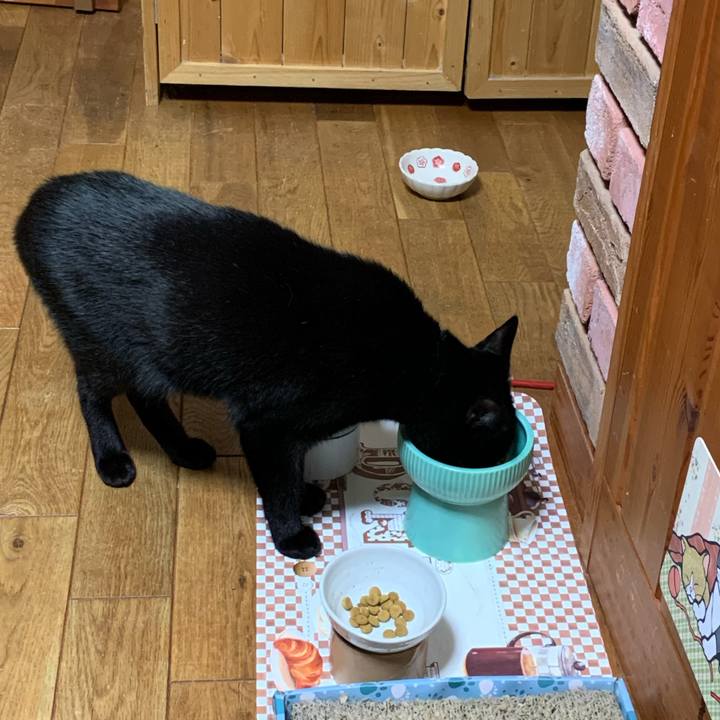 450353c2 2c00 428c b62d 2af804d6bced 1605018209323