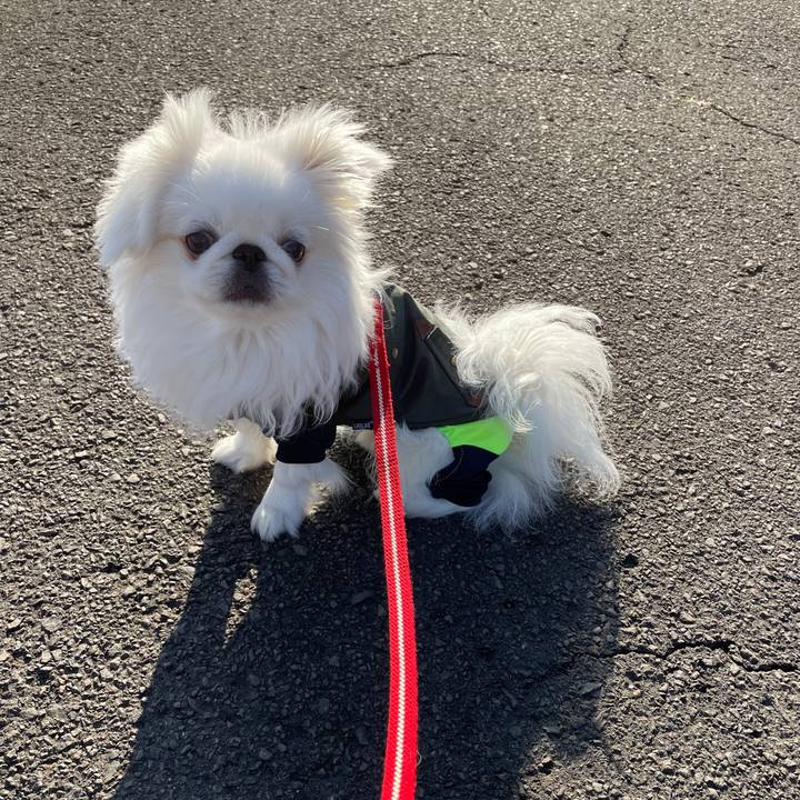 450392e4 468f 4c0c 9cf3 4357034264eb 1644580831604