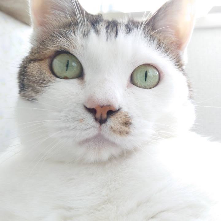 4503bb6f d7e4 433a 876e f177c380c852 1596940534506