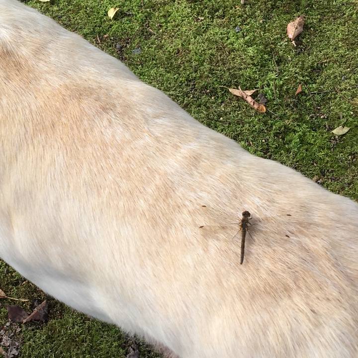 45040d98 dfa6 4356 8325 fa06830e784e 1565763702201