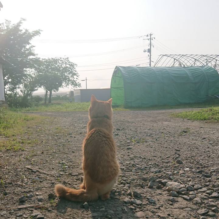 45042ccd 9112 4977 9404 bbec5e97b6c4 1655850810570