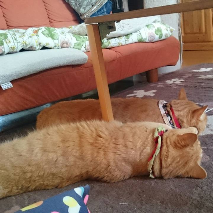 45044ad2 7689 4983 9751 dd8afd8f2389 1510608565703