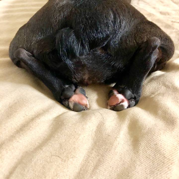 45044f23 f09f 49dd ada6 16200364027e 1561812497682