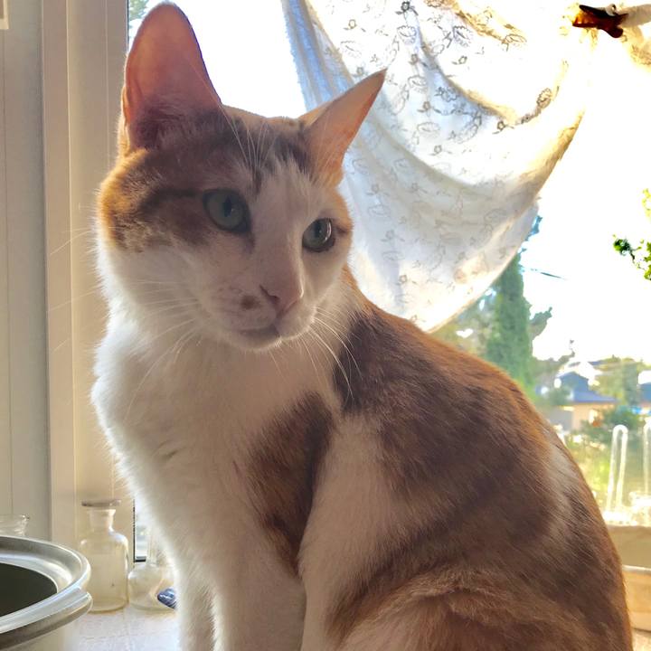 45046953 06ec 4ea3 b522 7413b8435384 1567809594424