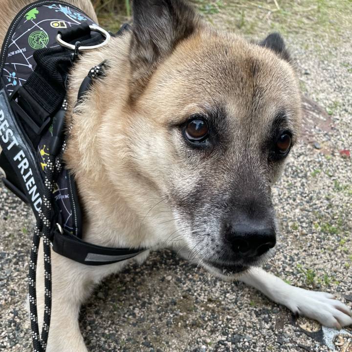 45048160 52af 4d6b 8baf e92b912a9fc5 1731760435600