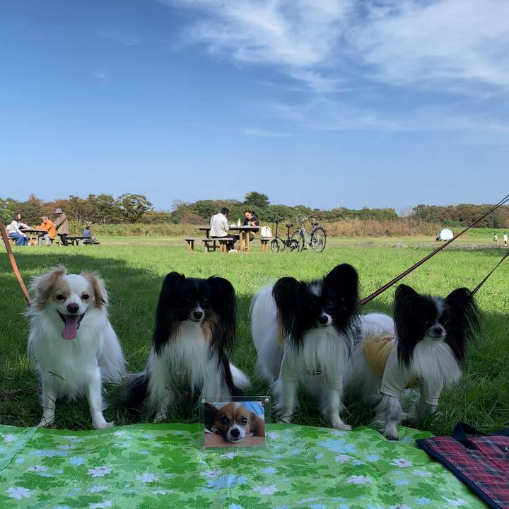 4504b0fe 208f 45b6 bd79 daa045313af1 1572678027990