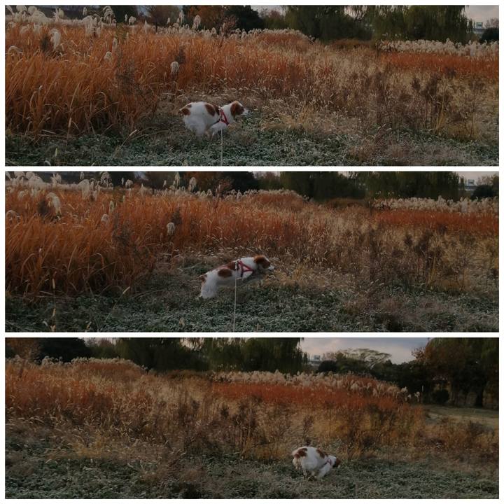 4504c133 08f1 41ed 9323 530e163f3f52 1576282511737