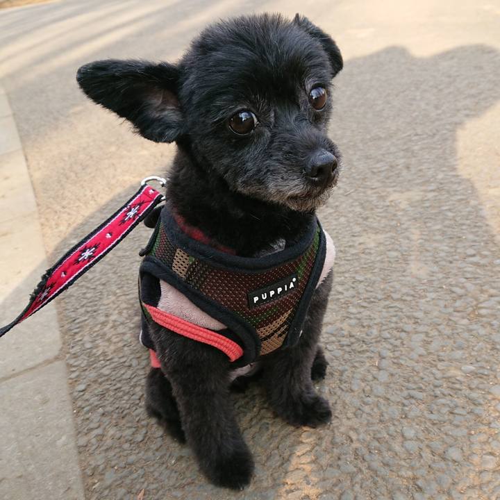 450501f7 70c5 42b6 825e 8d5b0a274864 1518247751296