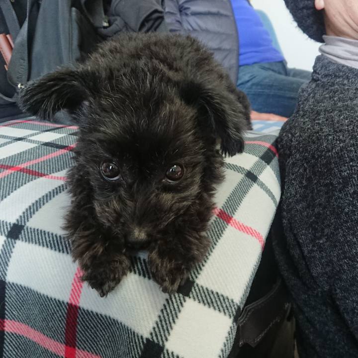 45054d79 9642 403d 8123 a57a424b5ee7 1554634054860