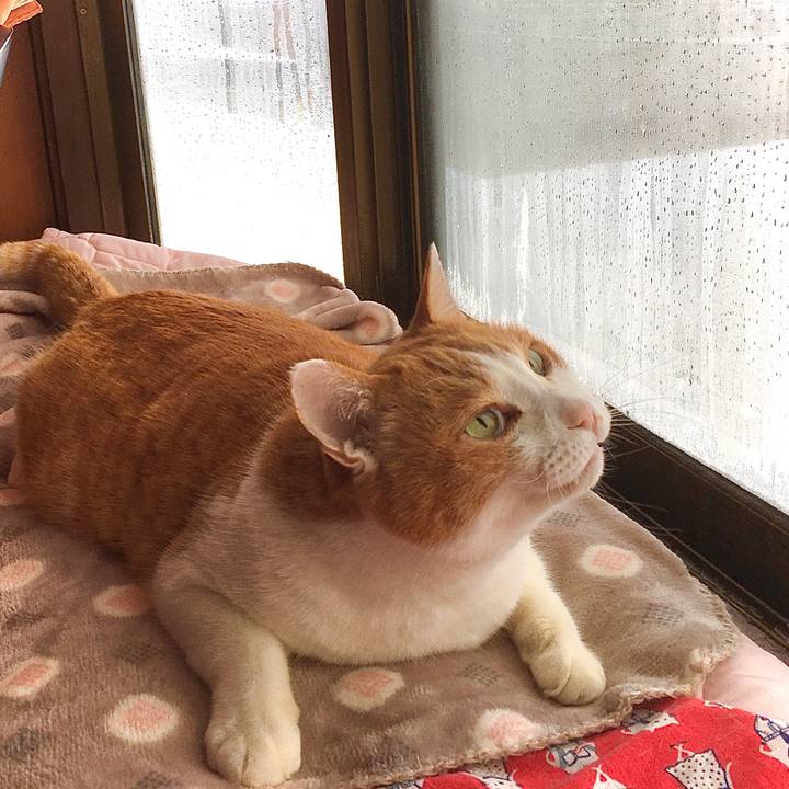 4505b76b a949 4b10 b55a d5cefa611de7 1610439413308