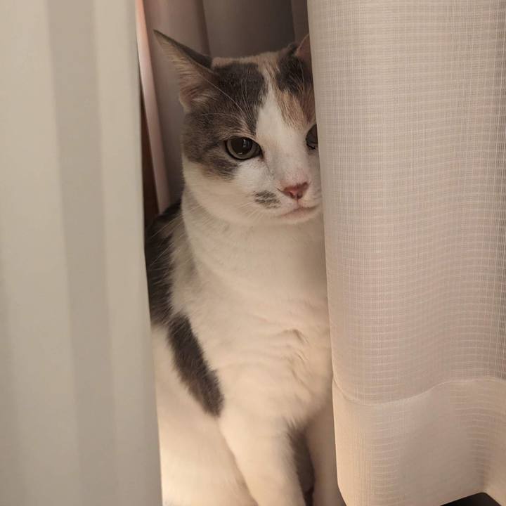 4505d666 bb13 405a 9793 67f4b53dd5b9 1697379238533