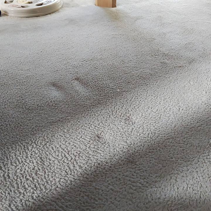 4505fb25 b47d 4ac7 9104 b7547227e049 1681337576143