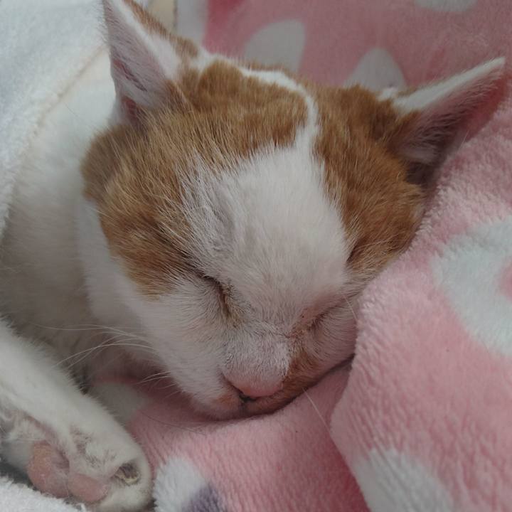 45060627 f71d 40b1 be3b 6692503777a0 1556939572823