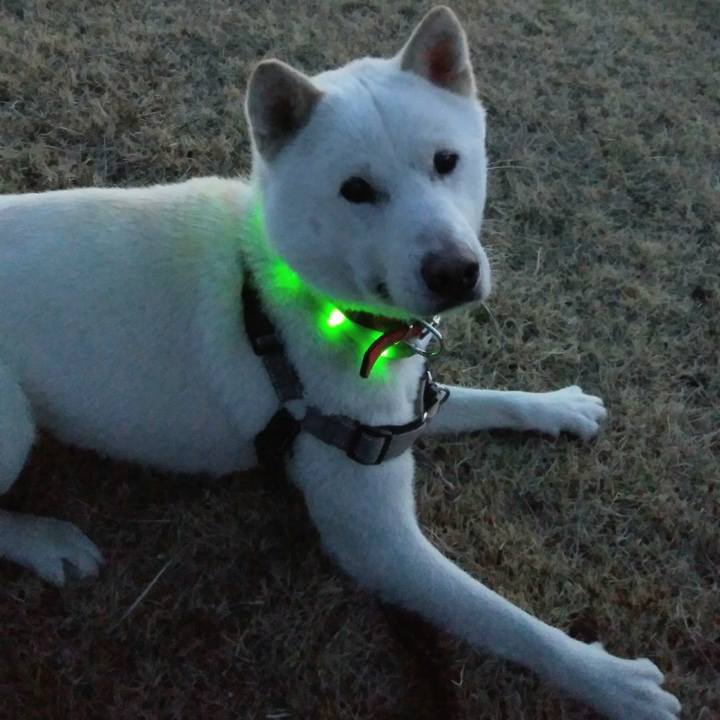 45065555 c3b9 4db8 a414 1396a12f4893 1521282056844