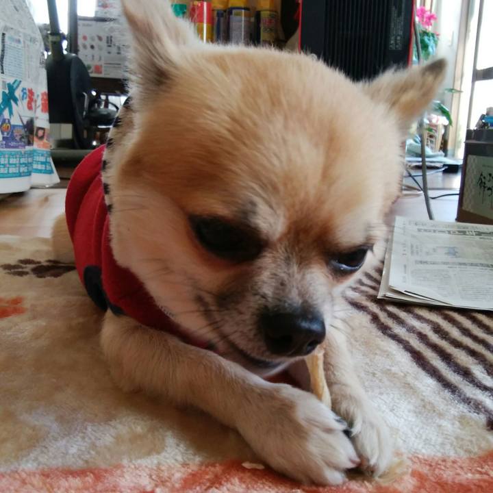 45068595 227d 4ffe 9a3c 37b4b94bb025 1510807132139