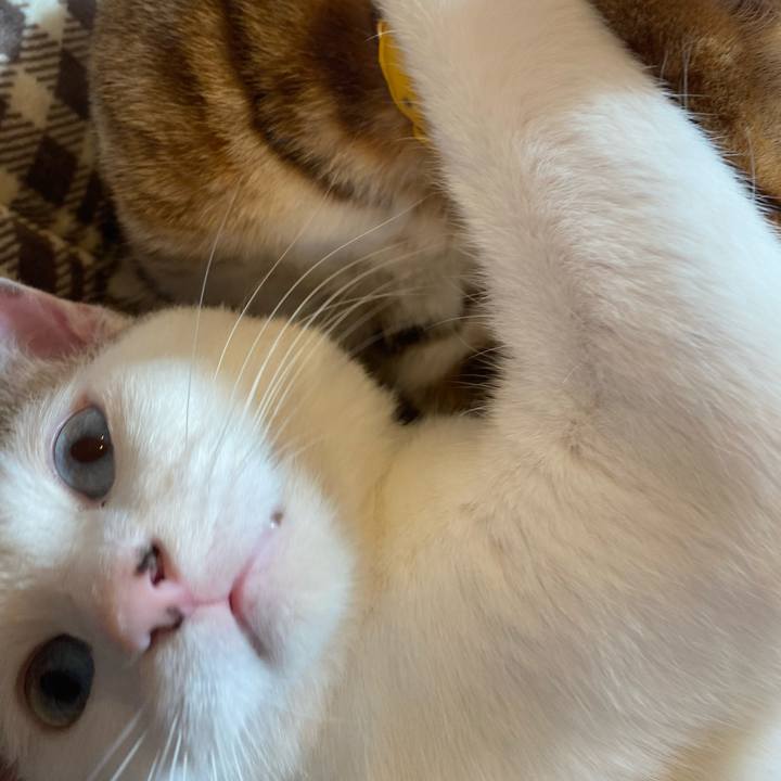 45069aed 9ba6 4800 b844 3b0366394a0e 1603353084401