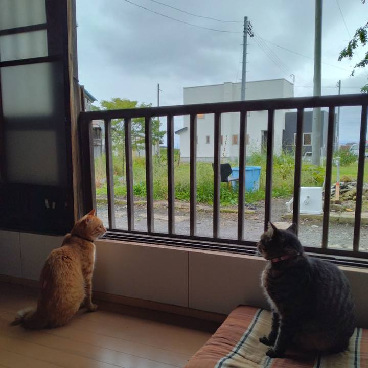 4506b40c f81c 4caa bad2 c9fa713d6910 1664003154882