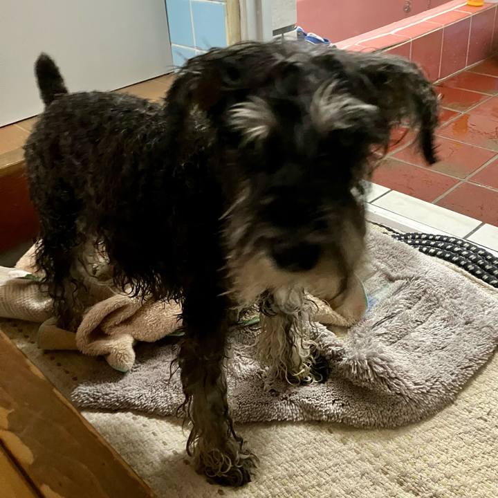 4506c079 17f4 4c33 a10e 5f9652f0bcf0 1739070483206