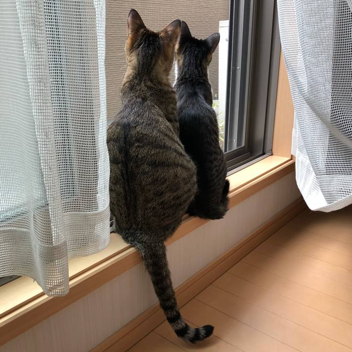 4506e72e 02c9 4b3c b969 a93b22bb1a61 1523853685903