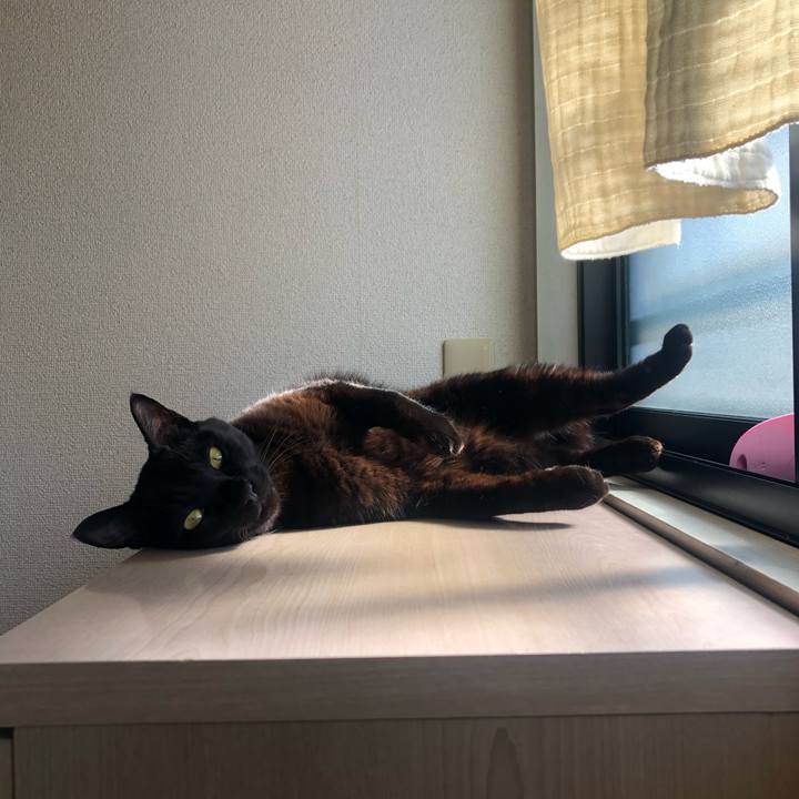 4506f3d9 7f6c 48d6 9919 06a40c8da60e 1612583256958