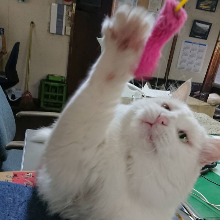 45071201 b494 4404 922e aa99cd62d1eb 1534458590074