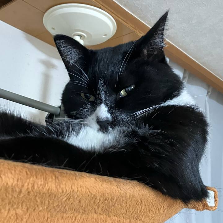 45071372 ad11 40c9 8086 2d3d72bca238 1739758536899