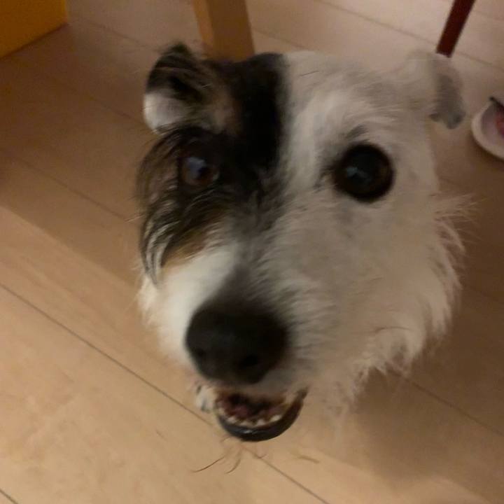 450757e5 c80b 4f19 a1ba 45fd54a555ae 1687261963419