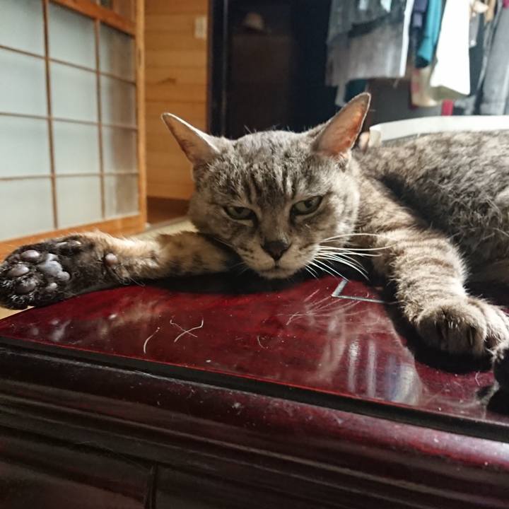 4507a6bb e58f 4525 aa5e 5ee3fedd7d99 1564914408075