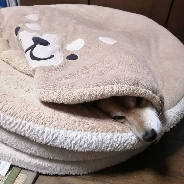 4507d5a1 85c6 4d5b b735 ba2d1fb7a38e 1639447183455