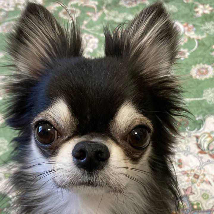 4507e3f6 80f6 462a bccf a3ff1c48f667 1666482362517