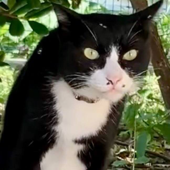 4507ee0b 1438 431d bf72 4648533d26bf 1729050499619