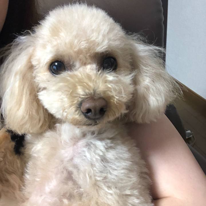 4507f990 c15d 4d83 a408 4008b8216f31 1566820930180