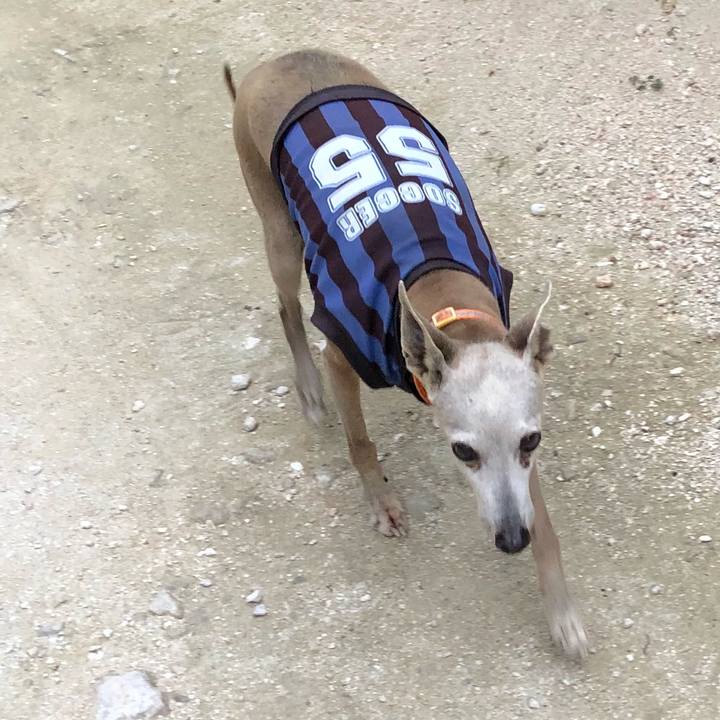 4508046b 4d0b 4b6d 99b2 55e7b3b0d40f 1543915987457