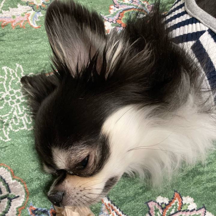 45081b37 0a9f 4d73 9a3b 36a6c7ea5a13 1653745760785