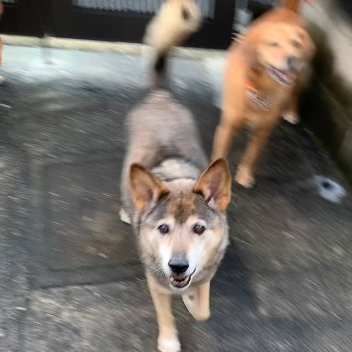 4508365b 64fc 4d40 a9b1 6e421c1bf78a 1567591228894