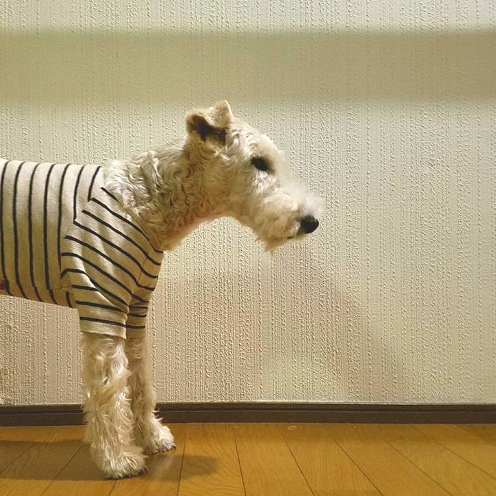 45083d1b f942 47fe be88 859fdad77f58 1508160778734