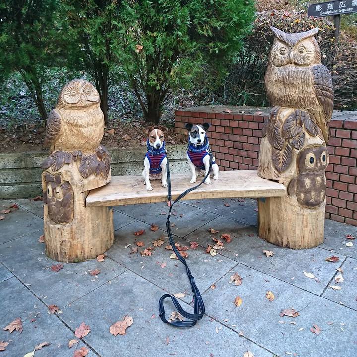 45085994 19eb 4013 a6dd 72fcebc53121 1542187516954