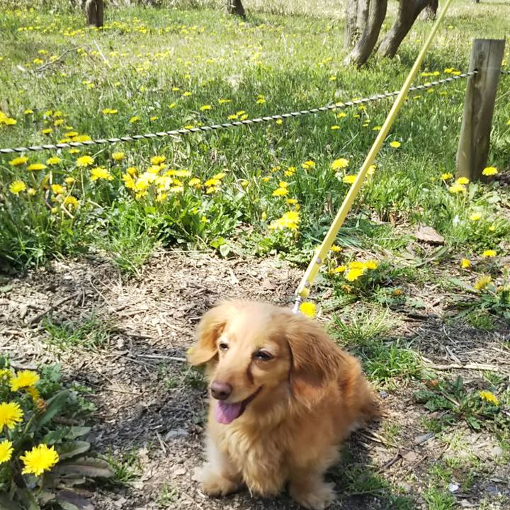 45088c1e 6a39 4825 bbad d49d49acc951 1585973716054