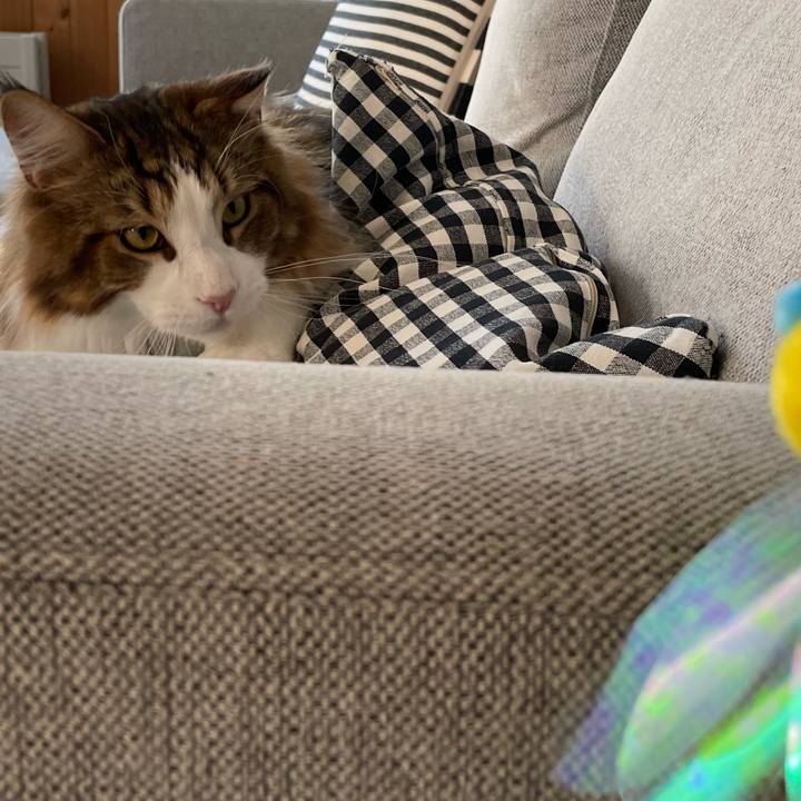 45089d76 17c1 4490 9f2f 3c725fb19be9 1649714018092