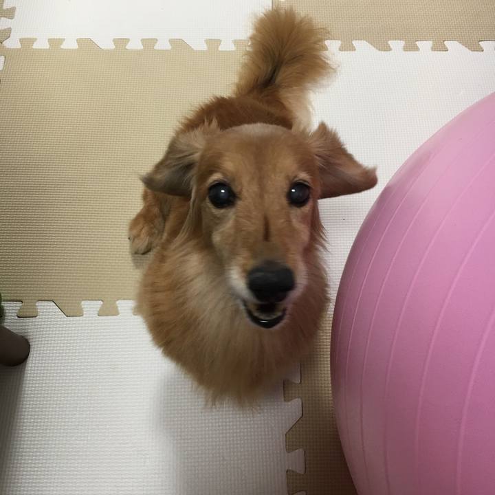 4508aa1f 9583 4344 b1c9 11ca43ca8586 1630668728591