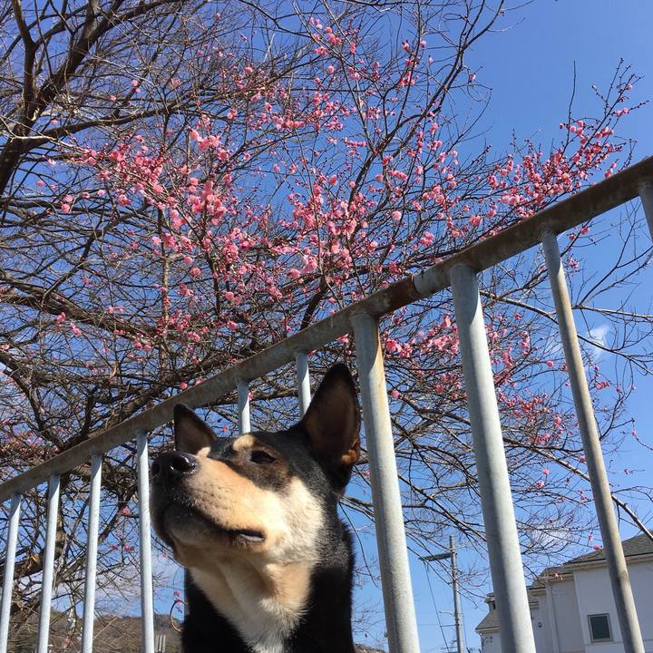 4508d5dc 44c3 4ae6 aa26 691b80e33dc2 1519126493837