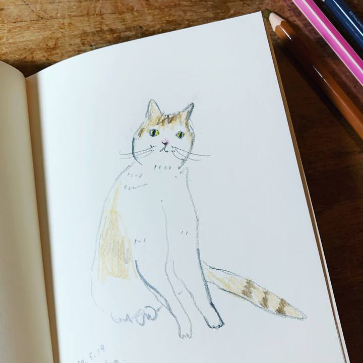 4508f1f9 7ce9 469b a5f7 bd5ea05eb68a 1589885372690