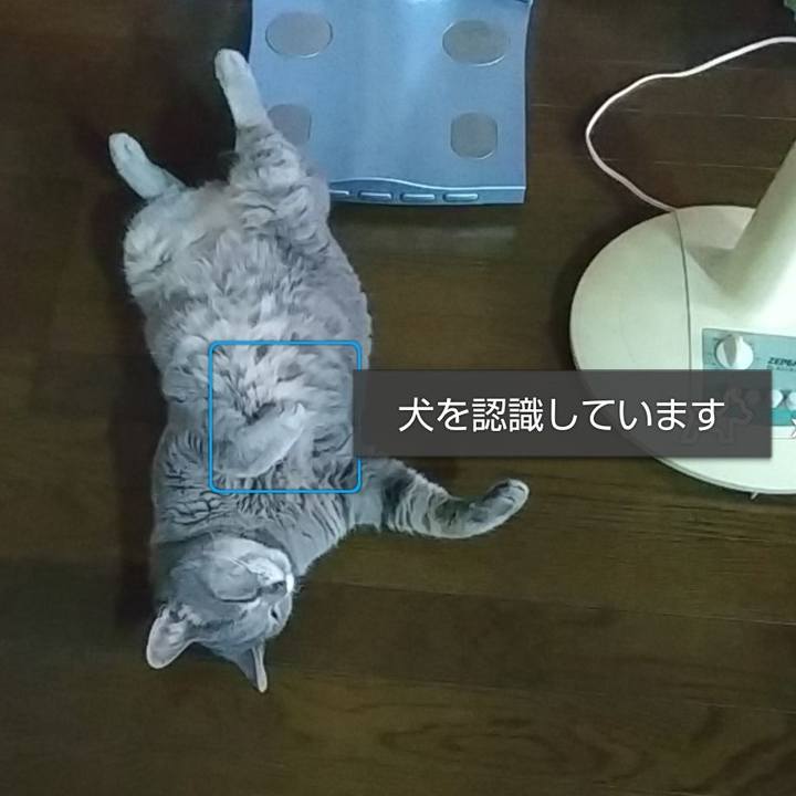 450949c3 e50c 46fa be4c 7284c8e54e80 1626762569213